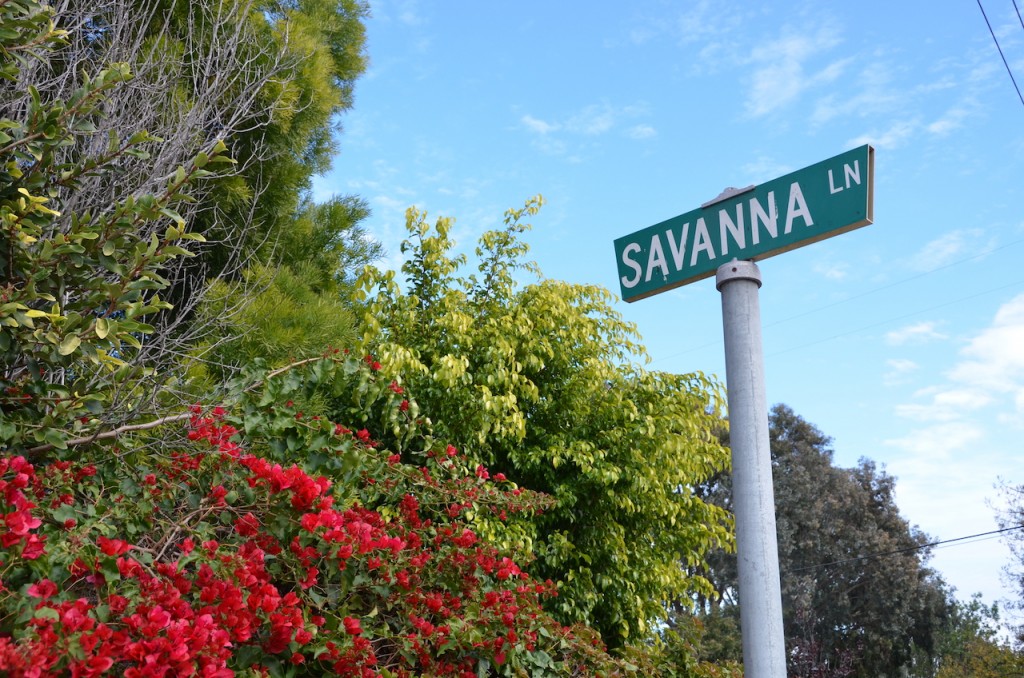 20452 Savanna Lane | Cheryl Marquis Blog